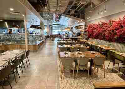 Darna Mediterranean – Plano